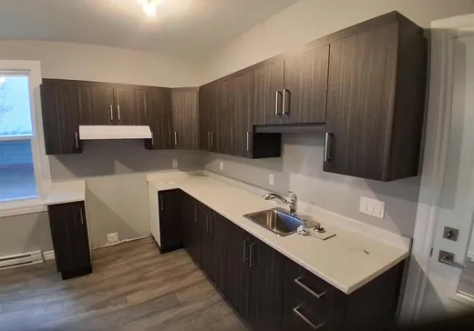 Triplex for Sale - 2841-2845 Boul. des Hêtres, Shawinigan, G9N 3A8