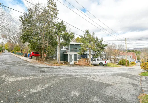 Duplex à vendre - 117 Rue Campeau, Sainte-Adèle, J8B 2P1