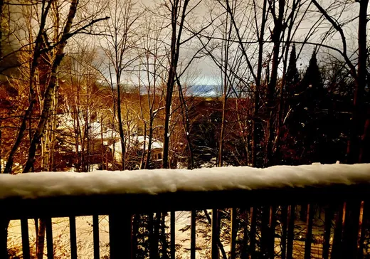 Duplex à vendre - 1750-1752 Rue Marie-Louise-Vallée, Mont-Tremblant, J8E 1S3