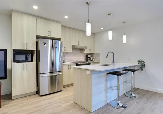 4-Plex for Sale - 19 Rue Mastine, Windsor, J1S 0H8