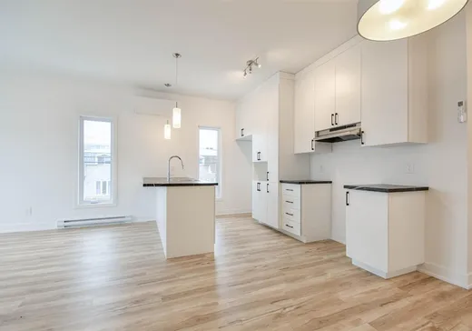 Duplex for Sale - 1 Rue Olivier-Pagé, Gatineau, J8M 1E5