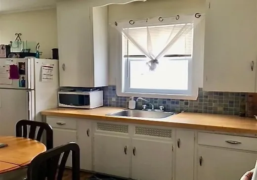 4-Plex à vendre - 84 Rue St-Antoine, Sainte-Agathe-des-Monts, J8C 2C9