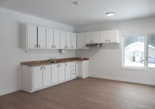 4-Plex à vendre - 1100 Route Ducharme, Ste-Thecle, G0X 3G0