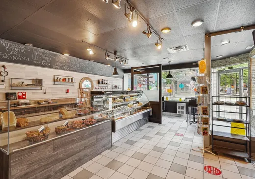 5-Plex for Sale - 4596-4606 Rue Ste-Catherine E., Montreal (Downtown), H1V 1Y7