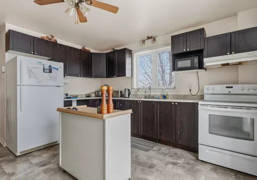 Duplex for Sale - 121-121A Rue Émile, Saint-Sulpice, J5W 4J2