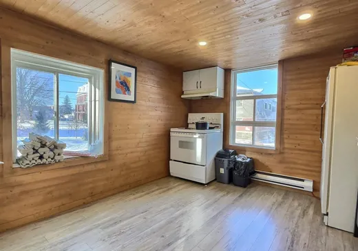 Triplex à vendre - 1479-1483 Rue St-Calixte, Plessisville, G6L 1P5