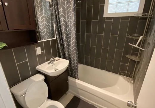 Duplex à vendre - 1018-1020 Av. Guybourg, Montréal (Mercier/Hochelaga-Maisonneuve), H1N 2X6