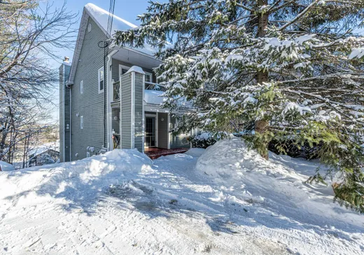 Triplex à vendre - 993-997 Rue Lessard, Sainte-Adèle, J8B 2P4