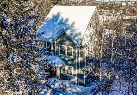 Triplex à vendre - 993-997 Rue Lessard, Sainte-Adèle, J8B 2P4