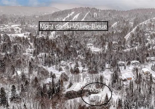 Duplex à vendre - 2149-2151 Av. du Mont-Vert, Val David, J0T 2N0