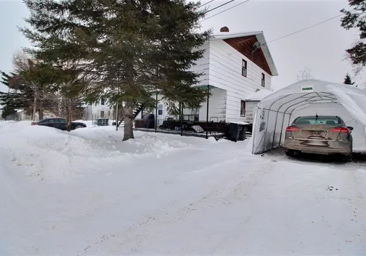 Duplex à vendre - 1161A-1161B Rue de la Frontière, Pohénégamook, G0L 1J0