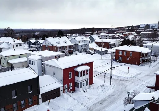 Duplex à vendre - 97-99 7e Avenue, Shawinigan, G9T 2A5