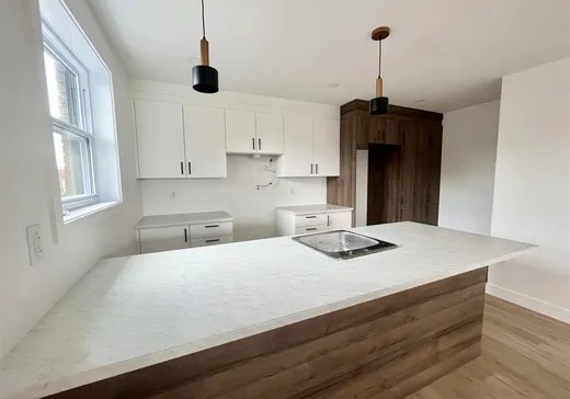 4-Plex à vendre - 957 Rue Beaugrand, Acton Vale, J0H1A0