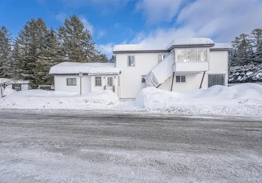 Triplex à vendre - 5452-5456 Route 329 N., Sainte-Agathe-des-Monts, J8C0M8