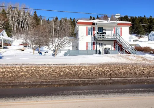 Triplex à vendre - 1060 Rue Principale, Pohénégamook, G0L 1J0