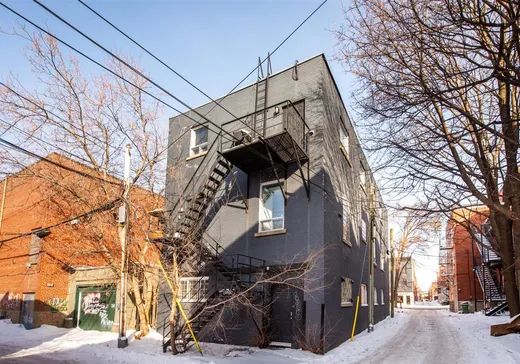 Triplex à vendre - 5016 Av. Papineau, Montréal (Plateau-Mont-Royal), H2H 1V8
