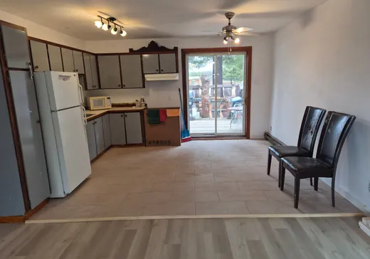 Duplex à vendre - 14-14A Rue Maillé, Lac-du-Cerf, J0W 1S1