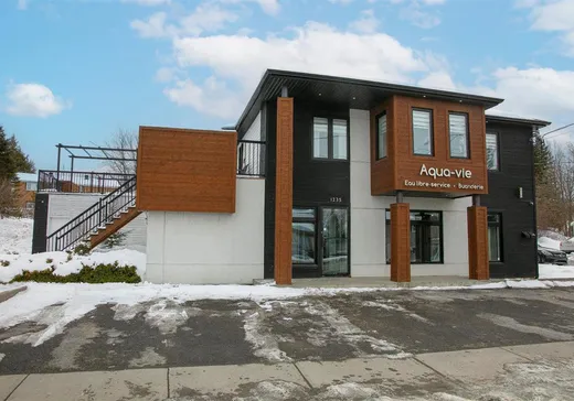 Triplex for Sale - 1233-1235 Rue du Sud, Cowansville, J2K 2Y9
