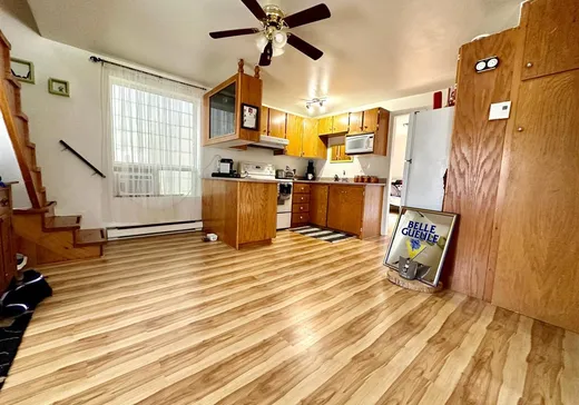 Duplex à vendre - 155-165 Rue Hardy, Saint-Casimir, G0A 3L0