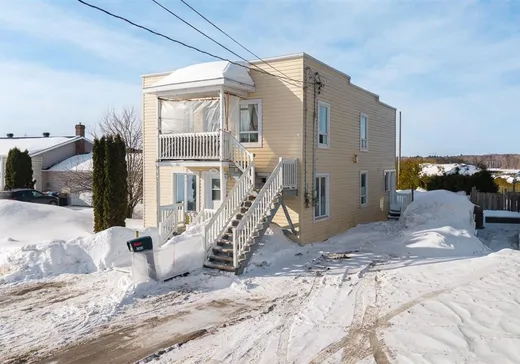 Duplex à vendre - 2341-2343 Rg Renversy, Saint-Paulin, J0K 3G0