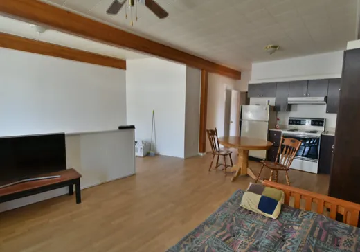 5-Plex for Sale - 256-272 Rue l'Annonciation N., Rivière-Rouge, J0T 1T0