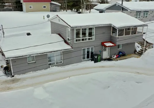 Triplex à vendre - 79-83 Rue Boivin, Mont-Tremblant, J0T 1H0