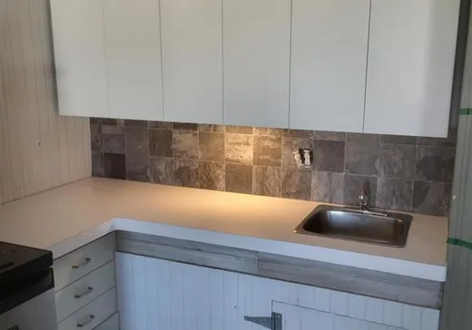 Duplex à vendre - 295-297 Rue l'Annonciation S., L'Ascension, J0T 1W0