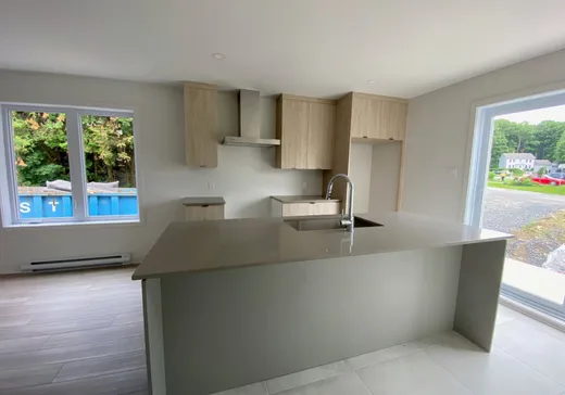 Triplex à vendre - 52-56 Rue de l'Hôtel-de-Ville, Rigaud, J0P 1P0