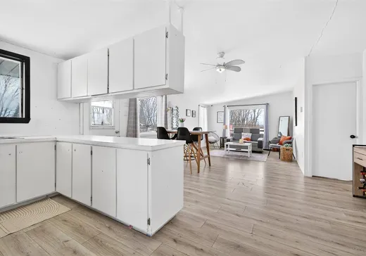 Duplex à vendre - 3229-3231 Rue Jean-Talon, Massueville, J3R 1X6