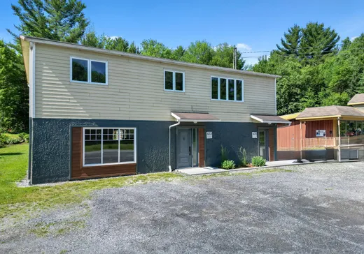 Duplex à vendre - 673-675 Rue de la Rivière, Cowansville, J2K 3G6