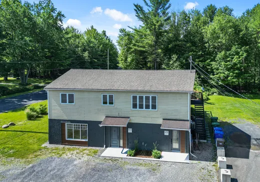 Duplex à vendre - 673-675 Rue de la Rivière, Cowansville, J2K 3G6