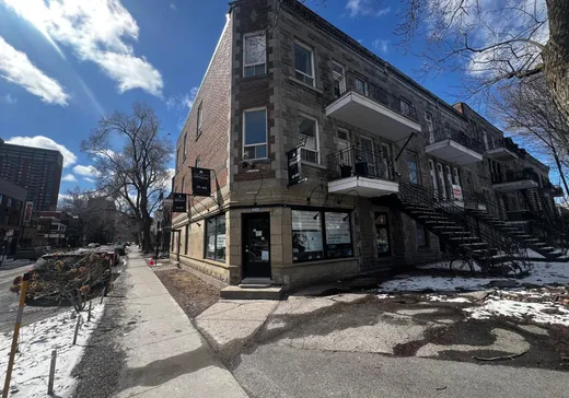 Triplex à vendre - 4000 - 4004 Av. De Lorimier, Montréal (Centreville), H2K3X7