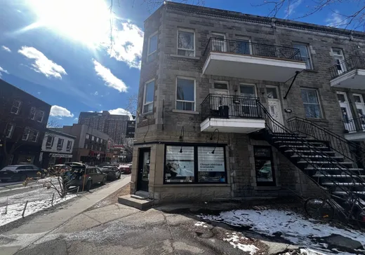 Triplex à vendre - 4000 - 4004 Av. De Lorimier, Montréal (Centreville), H2K 3X7