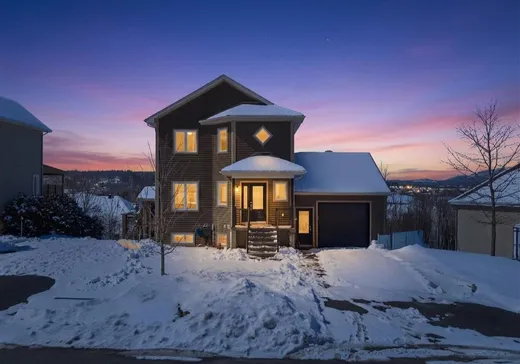 Duplex à vendre - 361-363 Rue Rolland-Dion, Magog, J1X7T5