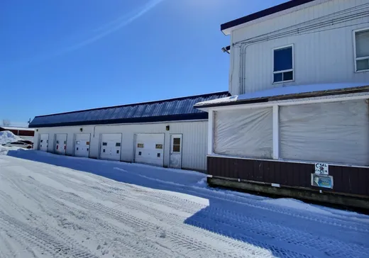 Duplex à vendre - 290-294 Rue Laurier, Thetford Mines, G0N 1E0