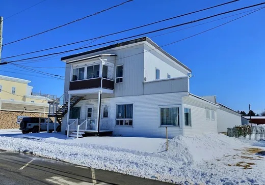 Duplex à vendre - 290-294 Rue Laurier, Thetford Mines, G0N 1E0