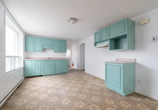 Duplex for Sale - 166-168 Rue St-Zéphirin, Victoriaville, G6P 5C2