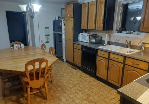 Duplex à vendre - 282Z 2e Avenue, Lac-Etchemin, G0R 1S0