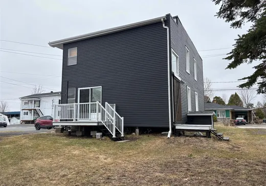 Duplex à vendre - 117-119 5e Avenue, Daveluyville, G0Z 1C0