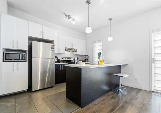 Duplex for Sale - 125 Rue du Pirée, Gatineau (Aylmer), J9J 4A7