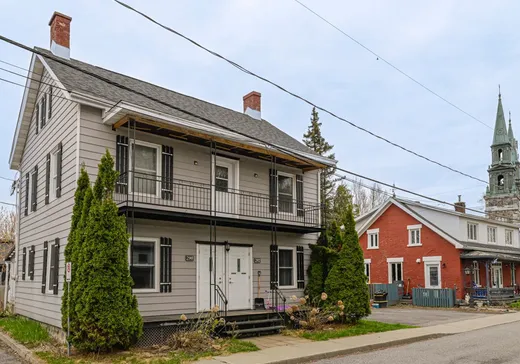 Duplex à vendre - 290-292 Rue du Lion, St-Denis-Sur-Richelieu, J0H 1K0