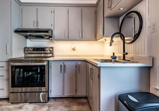 Duplex for Sale - 2581-2583 Rue Laflèche, Saint-Paulin, J0K 3G0
