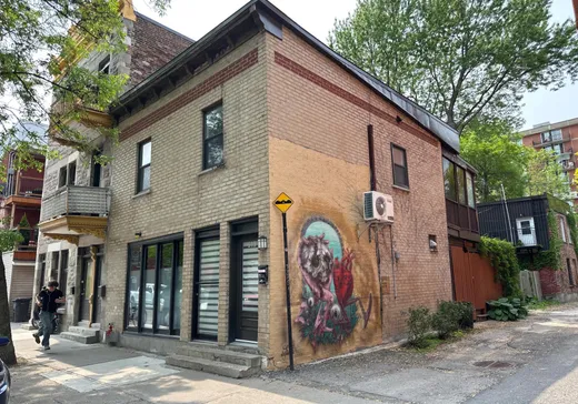 Duplex à vendre - 917 Av. Duluth E. (917Z-919Z), Montréal (Plateau-Mont-Royal), H2L1B7