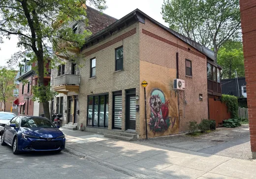 Duplex à vendre - 917 Av. Duluth E. (917Z-919Z), Montréal (Plateau-Mont-Royal), H2L 1B7