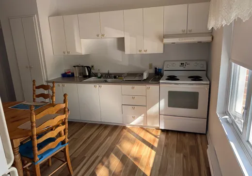 Triplex for Sale - 1885-1895 Rue Papineau, Saint-Hyacinthe, J2S 2B2