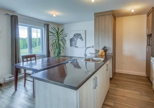4-Plex for Sale - 527 Route de l'Église, St-Pierre-Baptiste, G0P 1K0