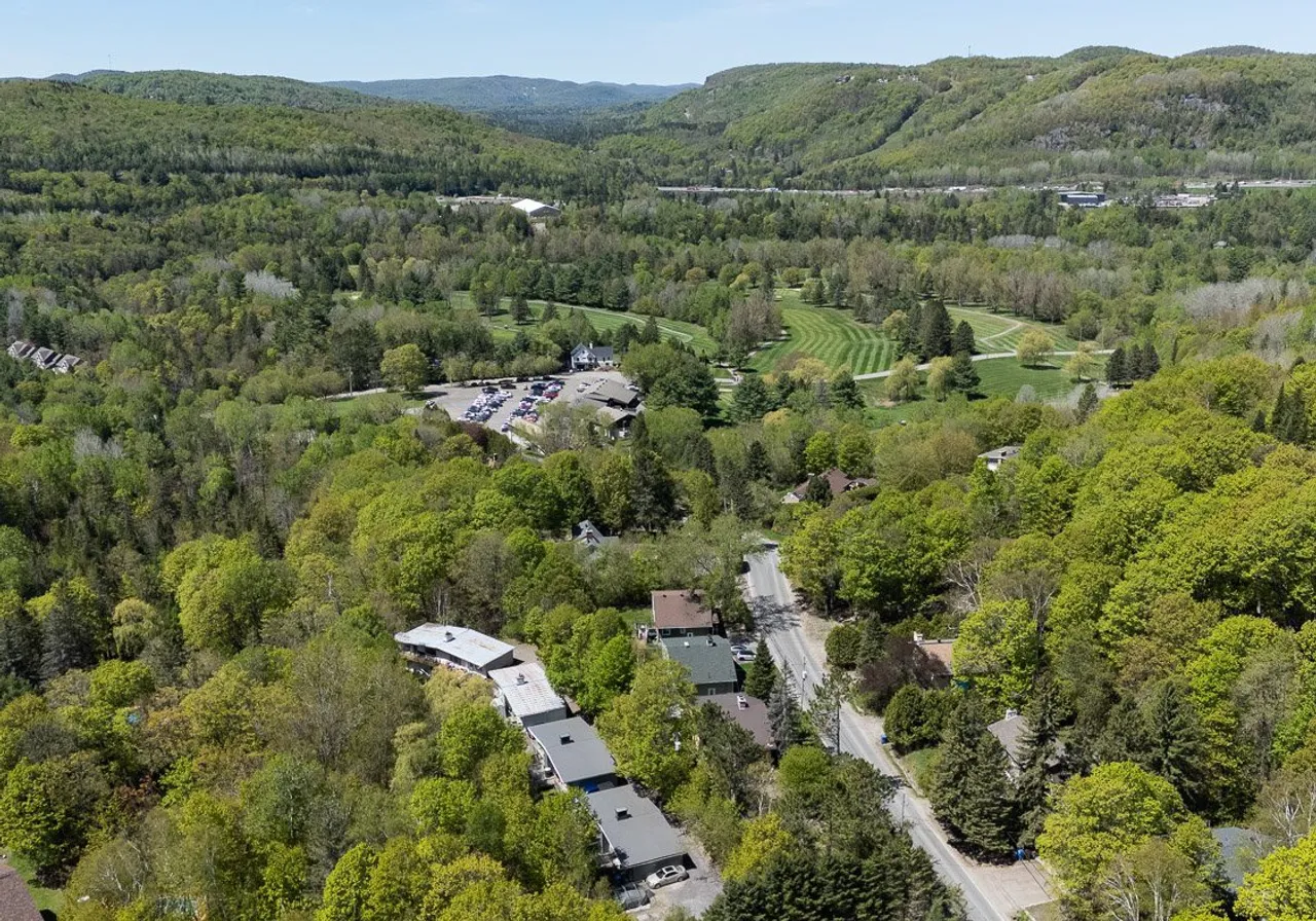 250 Ch. de la Montagne — photo 2