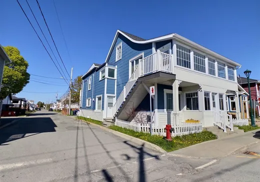 4-Plex for Sale - 391 Rue Jean-Rioux, Saint-Pierre-de-Lamy, G0L 4K0