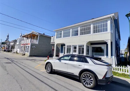 4-Plex for Sale - 391 Rue Jean-Rioux, Saint-Pierre-de-Lamy, G0L 4K0