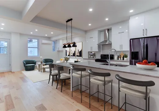Triplex à vendre - 4849-4853 Rue De La Roche, Montréal (Rosemont–La Petite-Patrie), H1J 3J8